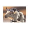 Wildebeest Plush 14"