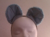 Ears