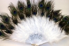 Peacock Feather Fan