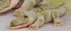 Alligator Plush 11"