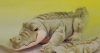 Alligator Plush 18"
