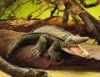Alligator Puppet