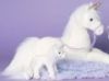 Abracadabra Unicorn