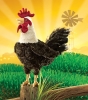 Rooster Puppet